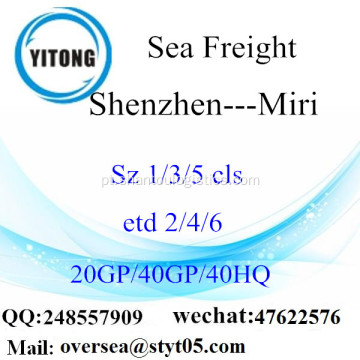 Mar de Porto de Shenzhen transporte de mercadorias para Miri